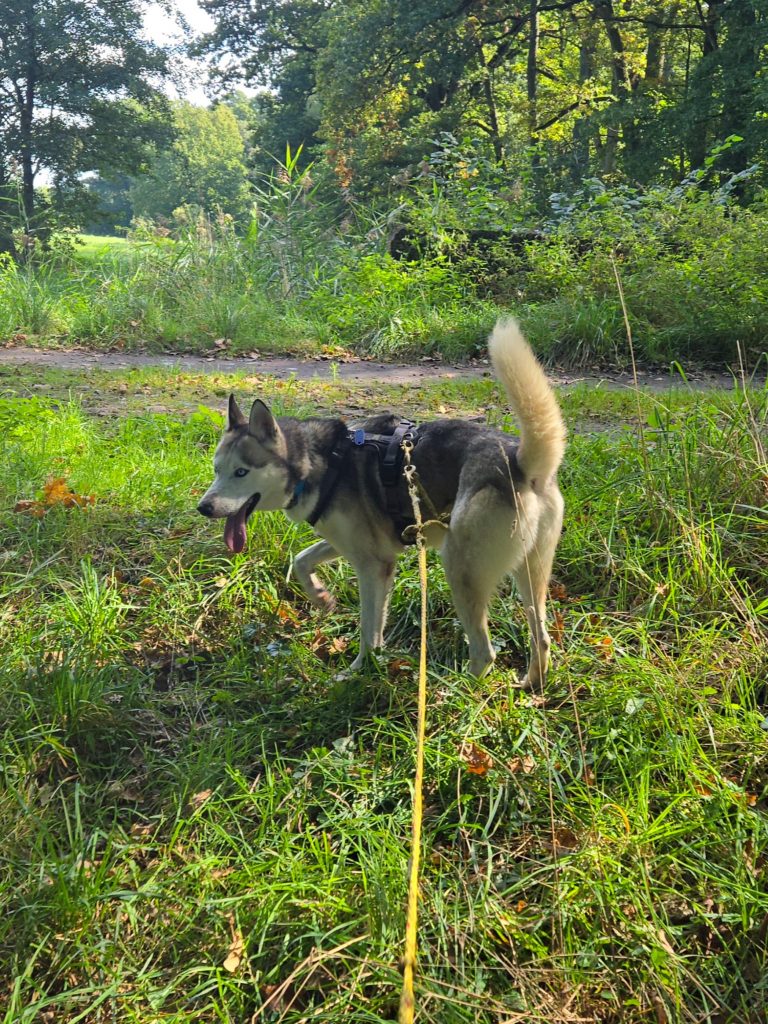 IMG-20250921-WA0000
