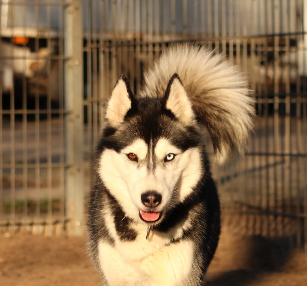 Screenshot_20260111_125225_Chrome