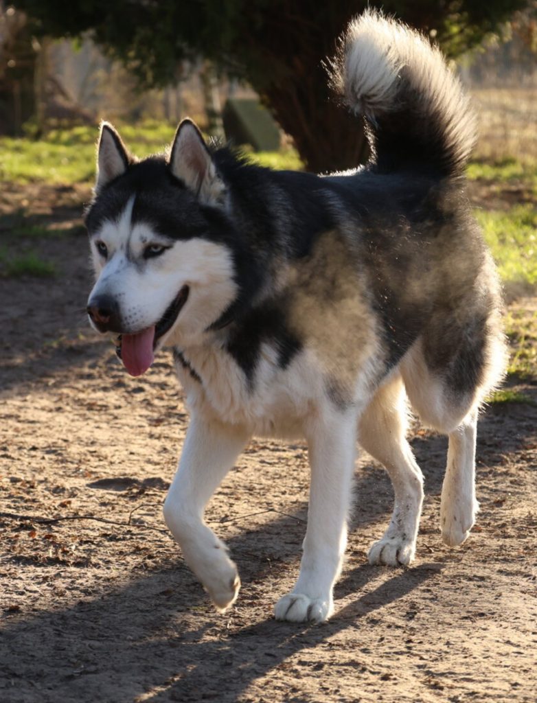 Screenshot_20260111_125542_Chrome