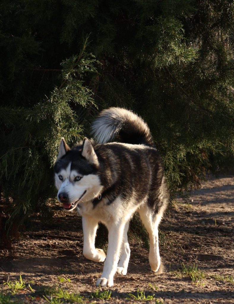 Screenshot_20260111_125623_Chrome