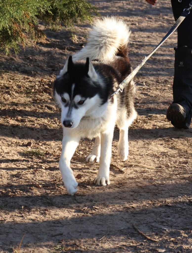 Screenshot_20260111_125722_Chrome