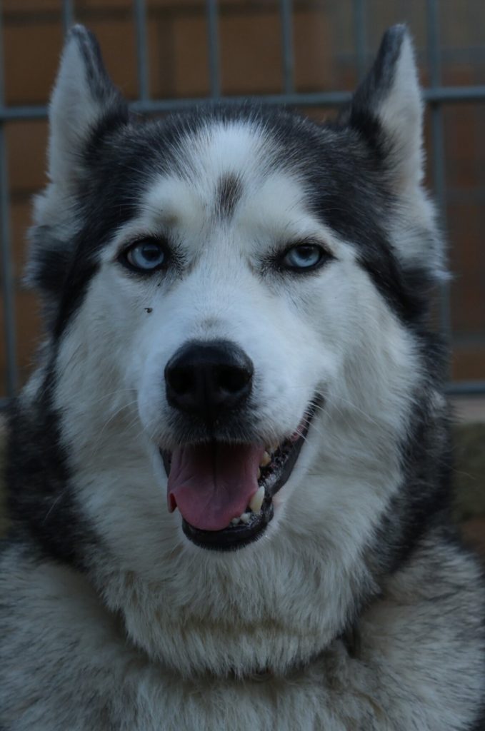 Screenshot_20260111_125812_Chrome