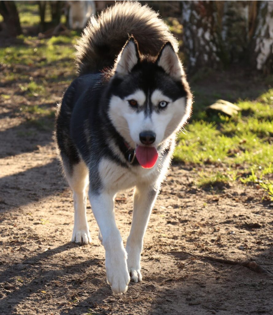 Screenshot_20260111_131549_Chrome