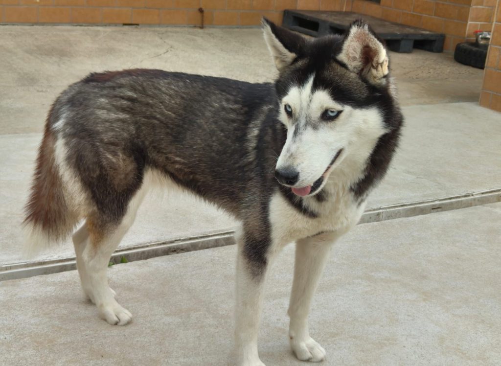 Screenshot_20251123_111512_WhatsAppBusiness