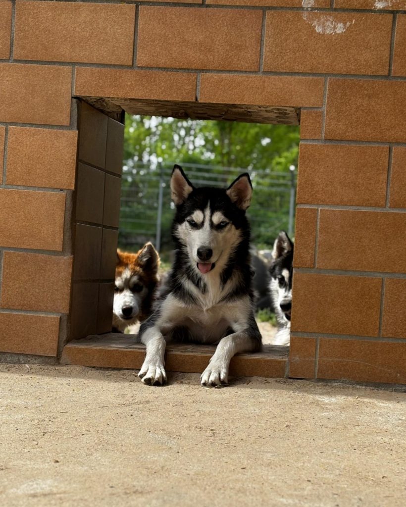 Screenshot_20251123_111622_WhatsAppBusiness